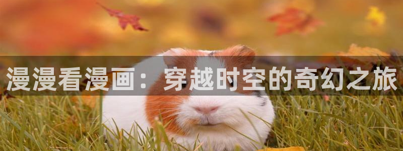 韩漫画天堂：漫漫看漫画：穿越时空的奇幻之旅