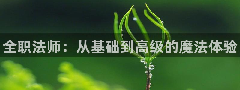 韩漫18漫画：全职法师：从基础到高级的魔法体验